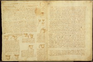 Een pagina uit de Codex Leicester, 1508-12